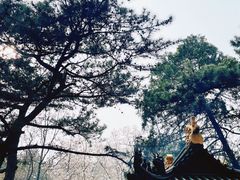 -潭柘寺景区