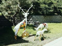 -南戴河国际娱乐中心