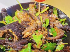 -蛙来哒(华新步步高店)