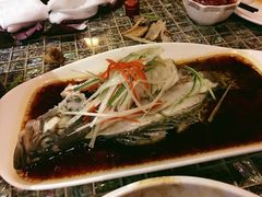 清蒸鲥鱼-走马楼饭庄(慈城古县城店)