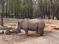 -北京野生动物园