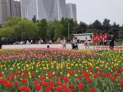 -长春公园(普阳街道)