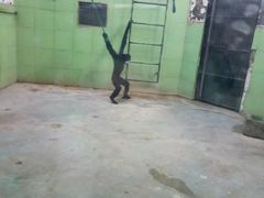 -辛玛王国游乐园