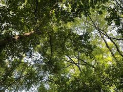 -西湖风景区-江洋畈生态公园