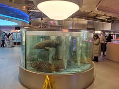 -海底捞大排档火锅(打浦路店)