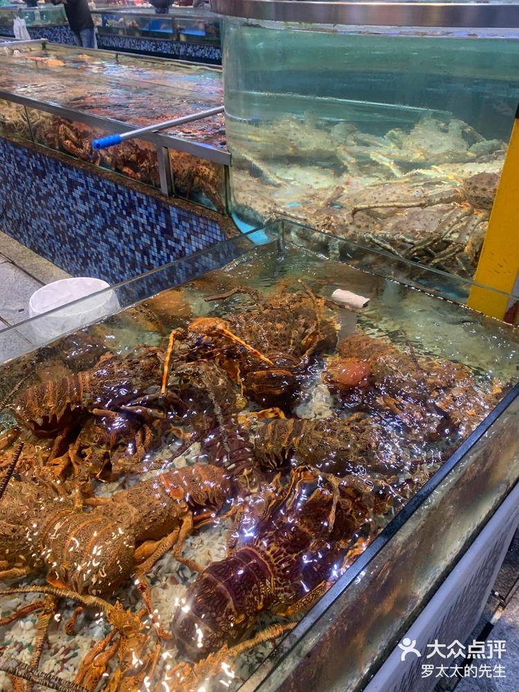 这儿的海鲜太好吃了!-大众点评