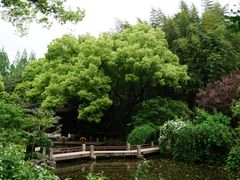 -汇龙潭