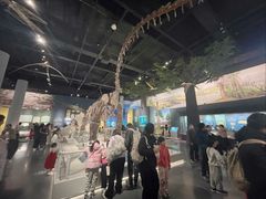 -国家自然博物馆