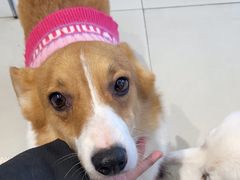 -怪兽屋·羊驼·猫咖·狗咖(俊华广场店)