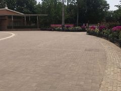 -大兴滨河森林公园