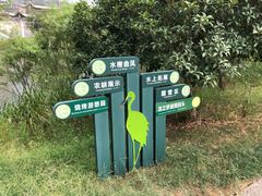 -长兴太湖图影湿地文化园