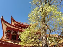 -梵天禅寺