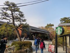 -中村藤吉(本店)