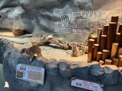 -Zoolung Zoolung动物主题公园(海信广场店)