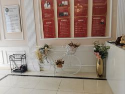 -Bollins波林丝•专研护发中心