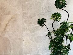 -扬州皇冠假日酒店