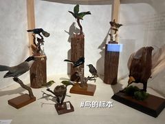 -上海外滩美术馆