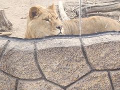 -鄂尔多斯野生动物园