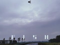 -金孔雀温泉旅游度假村