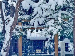-北海道神宫