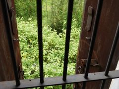 -开平碉楼文化旅游区马降龙景区