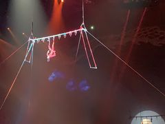 -珠海横琴长隆《卡卡虎奇遇记》