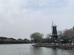 -上海鲜花港