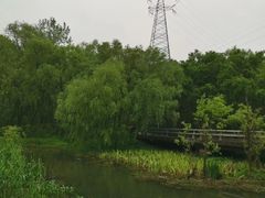-西湖风景区-江洋畈生态公园