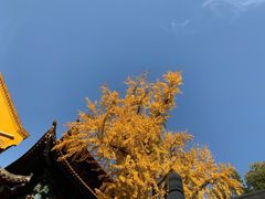 -宝通禅寺