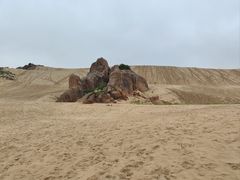 -玉龙沙湖景区