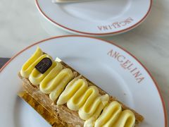 -ANGELINA(IFS国金中心店)