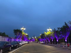 -眉山湿地公园(东坡区)