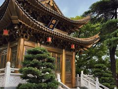 -上海东林寺(金山区)