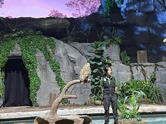 -夜间野生动物园