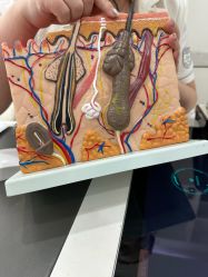 -悟空祛痘·诺奖技术专业店