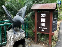 -西双版纳原始森林公园