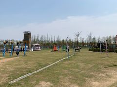 游乐设施-上海长兴岛郊野公园