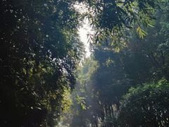 -重庆彩云湖湿地公园