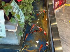 -洞庭家宴·头牌甲鱼(广渠门店)