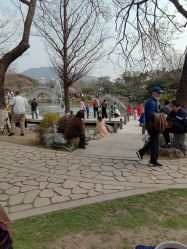 -玄武湖景区-情侣园游乐场