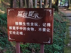 -大围山国家森林公园