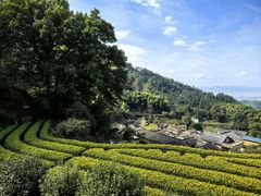 -杨家堂村