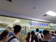 -厦门海底世界