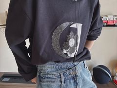 -岭南站NOVA