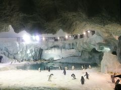 -喷泉广场餐厅·宵夜·海鲜烧烤大排档(长隆企鹅酒店)
