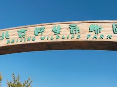 -北京野生动物园