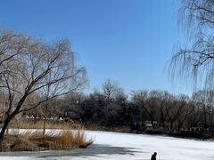 -WhaleSports户外水上运动俱乐部(朝阳公园店)