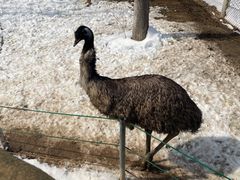 -石家庄市动物园