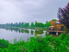 -广富林郊野公园