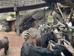 -长鹿旅游休博园